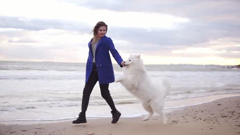 attractive young woman plays and strokes her dog of the samoyed breed running by the sea. white fluffy pet on the beach having