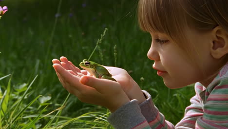 young child holding a small green frog