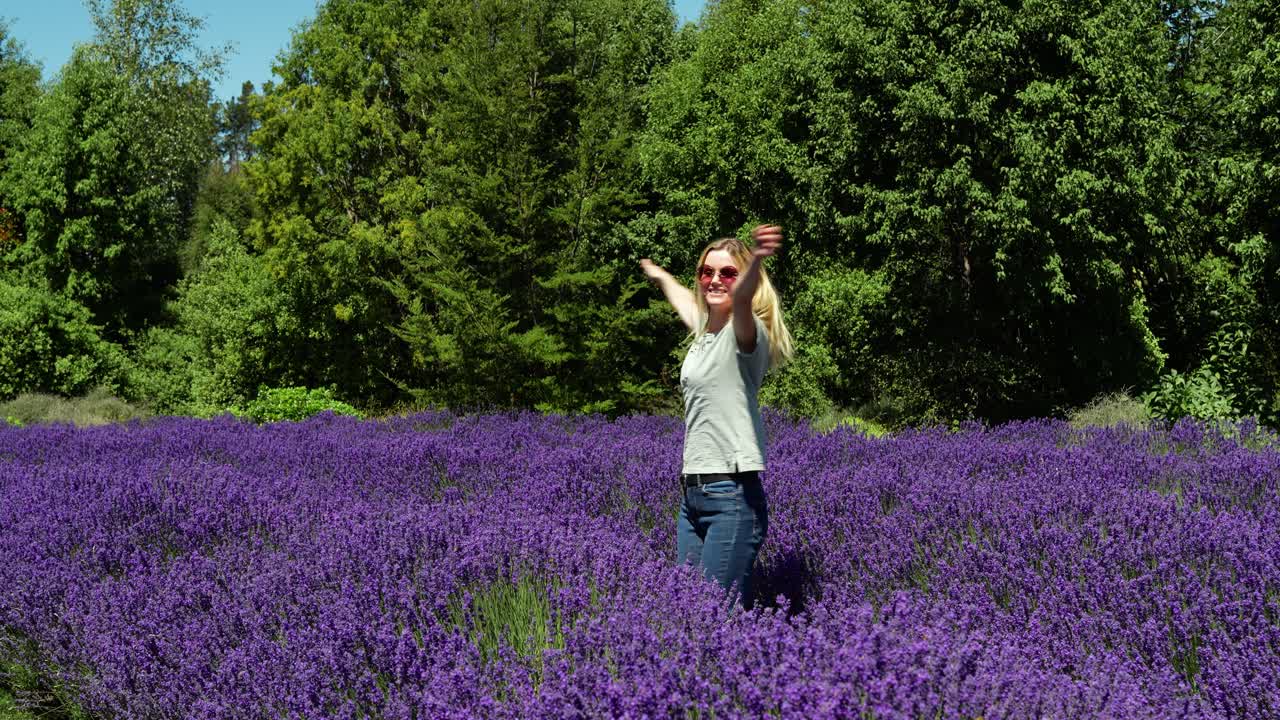 joven feliz en el campo de lavanda en wanaka, nueva zelanda, girando con los brazos abiertos en un día soleado