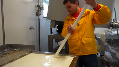 tourist man in a cheese factory removing milk in the pasteurization process