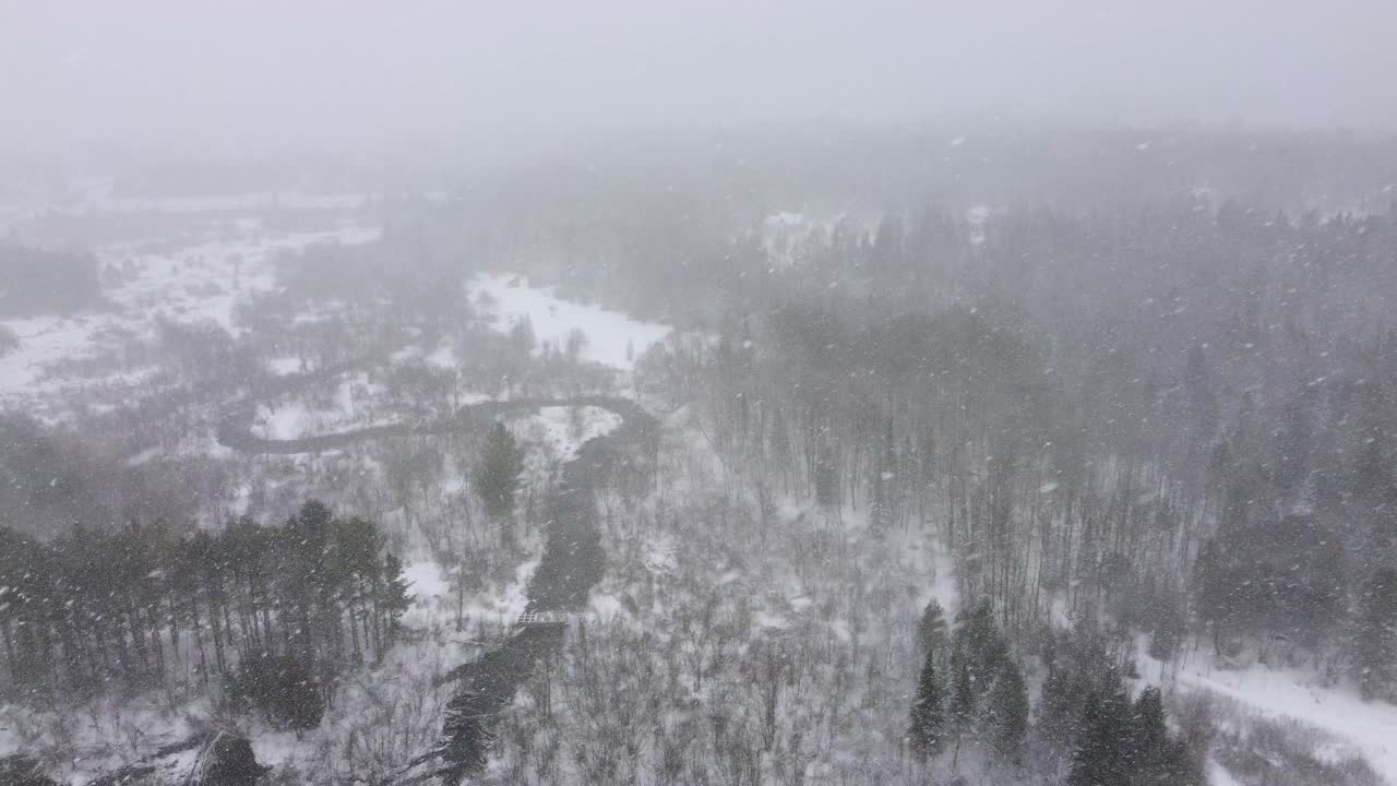 A dense forest blanketed in snow with a winding river cutting through the landscape. Heavy snowfall reduces visibility, creating a serene yet harsh winter atmosphere.