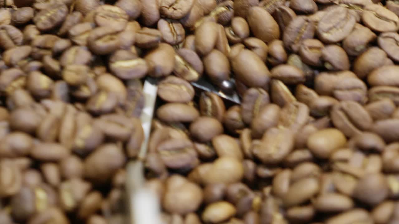 Discover the intricate journey of coffee from beans to brew showcasing the production process at a coffee farm.