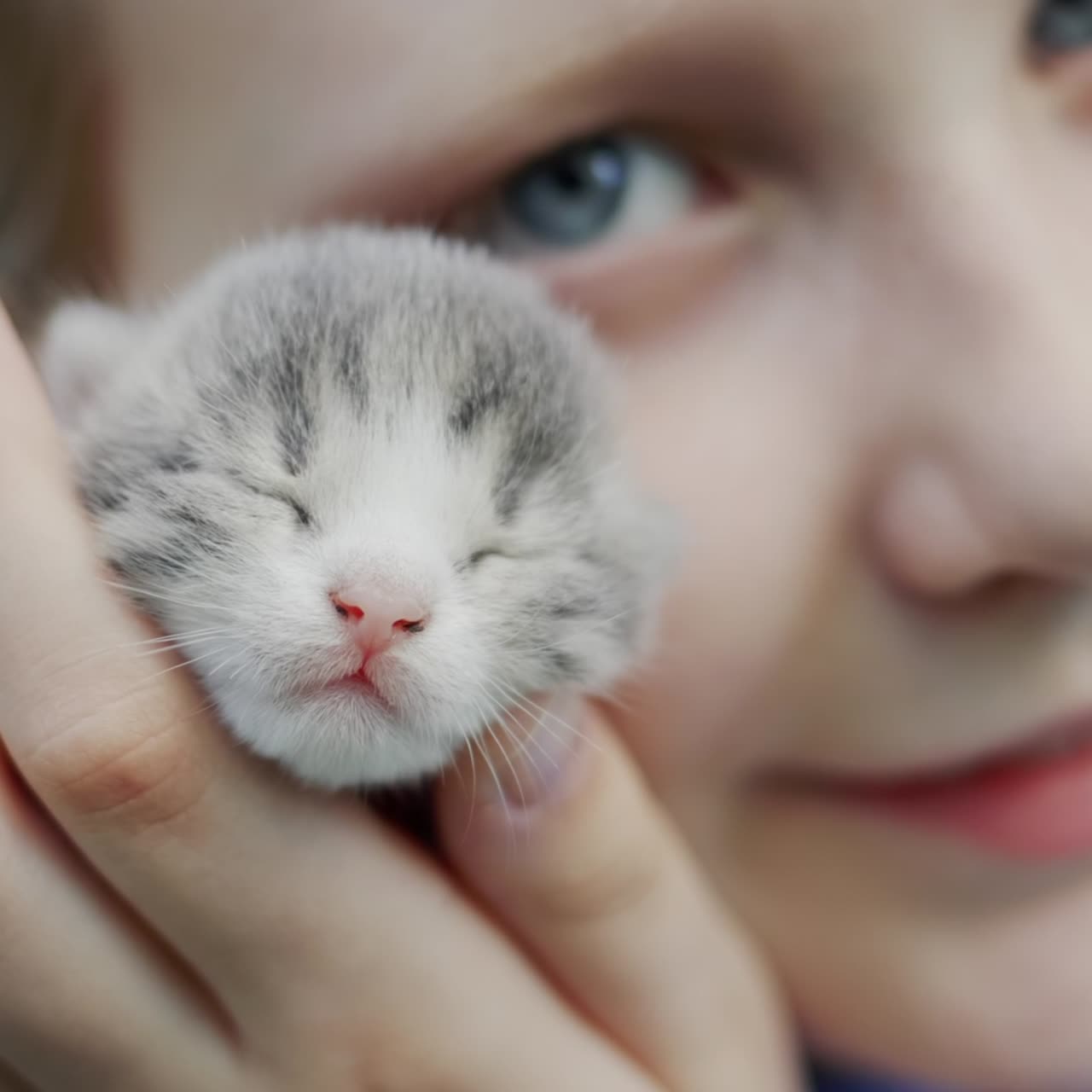 Baby holds newborn kitten 1