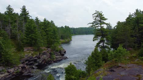 river flows quickly exiting from rapids into larger body of water lined with pine trees