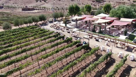Aerial view of a wedding venue near a vineyard in Mexico