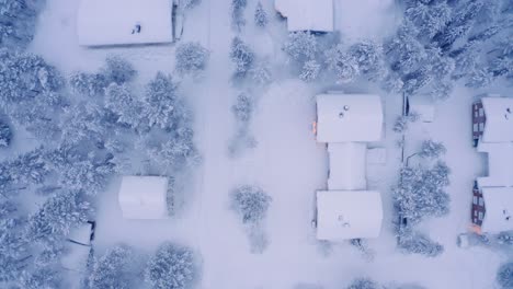 Finnland-Schneebedeckte-Nachbarschaft-Taiga-Tundra,-Drohne-Antenne-Von-Oben-Nach-Unten-Nähernd