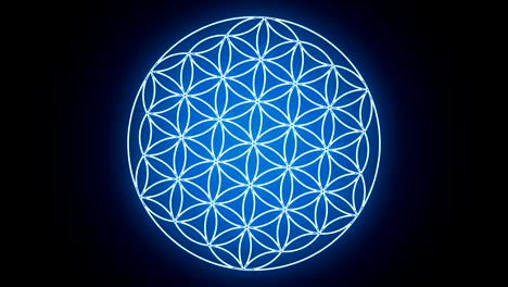 the flower of life forming sacred geometry symbol