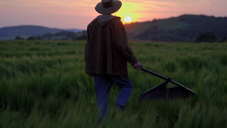 farmer working in a field at sunset