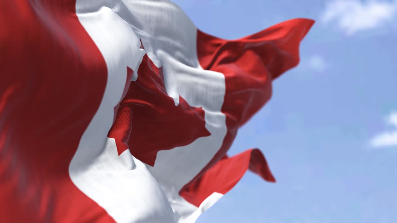 Detailed close up of the national flag of Canada waving in the wind on a clear day