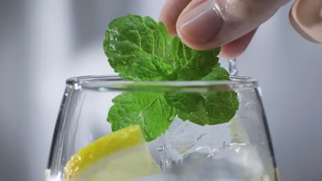 slow motion shot of placing spearmint leaves on glass with lemon slice and ice cubes, close-up