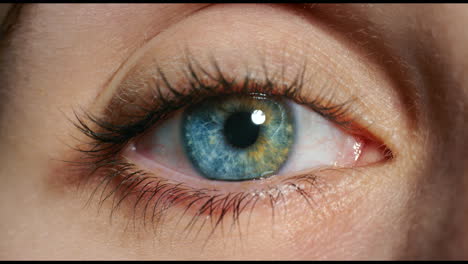 Blue-eye,-vision-and-contact-lens-of-a-woman-face