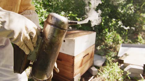 caucasian male beekeeper in protective clothing using smoker to calm bees in a beehive