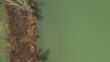 aerial – cinematic overhead shot above a lake with islands and ducks