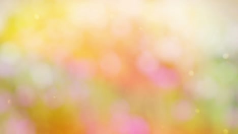 fondo de movimiento de bokeh de bosque abstracto