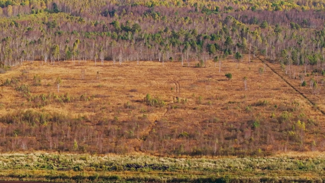 Slide left aerial above Kirbas bog nature preserve in Rucava, Latvia, autumn