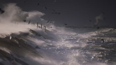 stormy seas