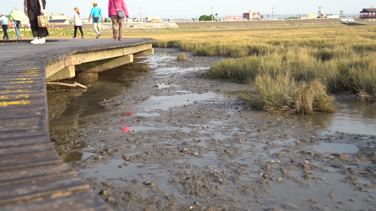 Tourists walking on the walkway platform with crustaceans and demersal fish species moving on muddy mangrove tidal flat, Gaomei wetlands preservation area, Taichung, Taiwan, Asia