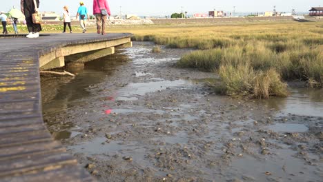 Tourists-walking-on-the-walkway-platform-with-crustaceans-and-demersal-fish-species-moving-on-muddy-mangrove-tidal-flat,-Gaomei-wetlands-preservation-area,-Taichung,-Taiwan,-Asia
