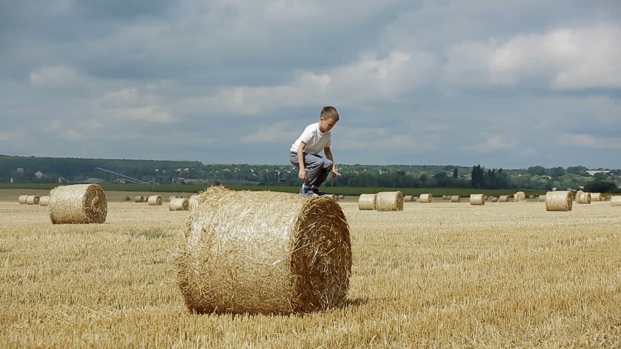 Happy Child In Field. Adorable kid boy spending time in a field with straw