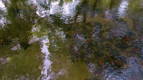 mirror reflections over stream of a calm lake