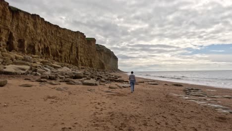 the camera moves sideways to the right as the female walks away along the beach wide the sea on the right and the cliffs left. a women walking along a jurassic coast beach in dorset