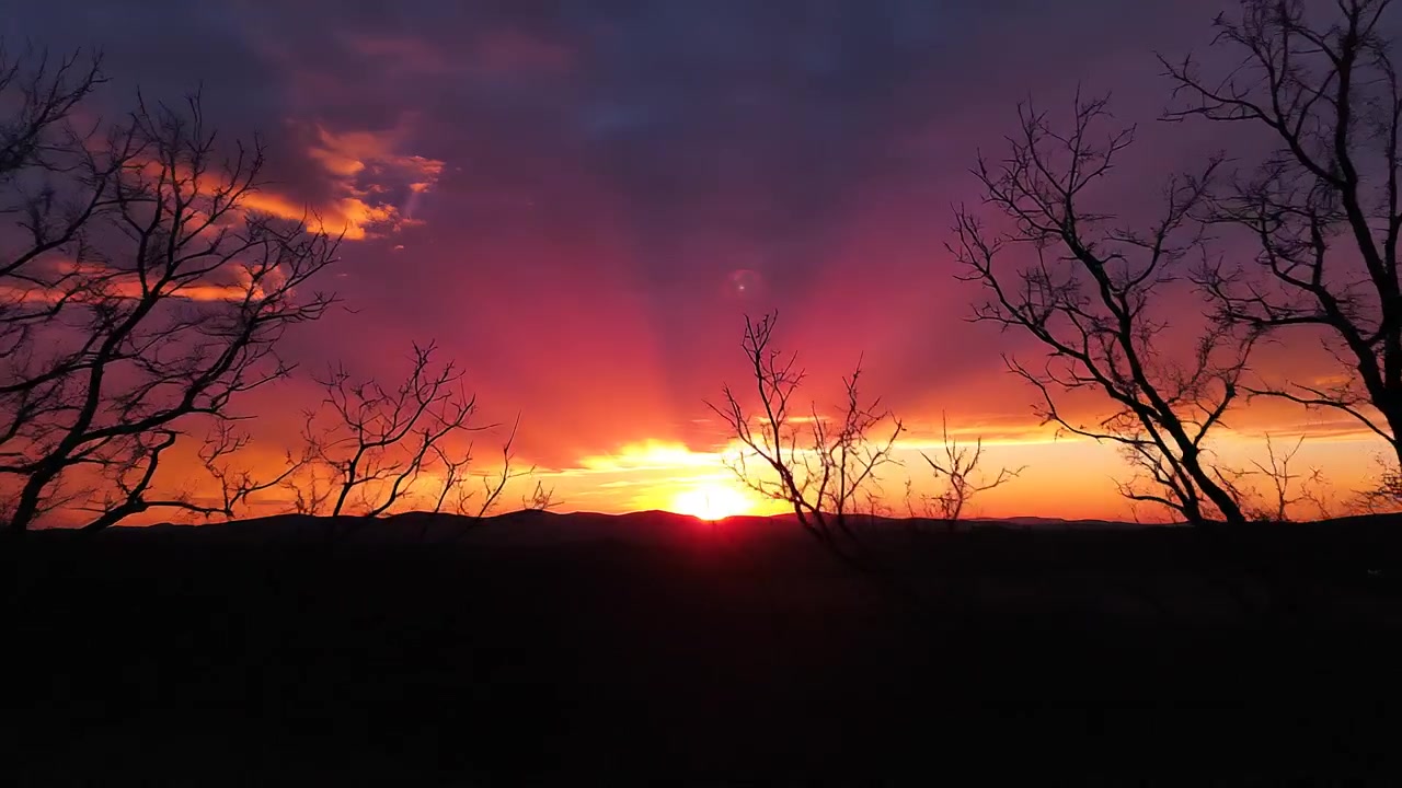 Levendig zonsonderganglandschap met silhouetten van bladloze bomen in de schemering