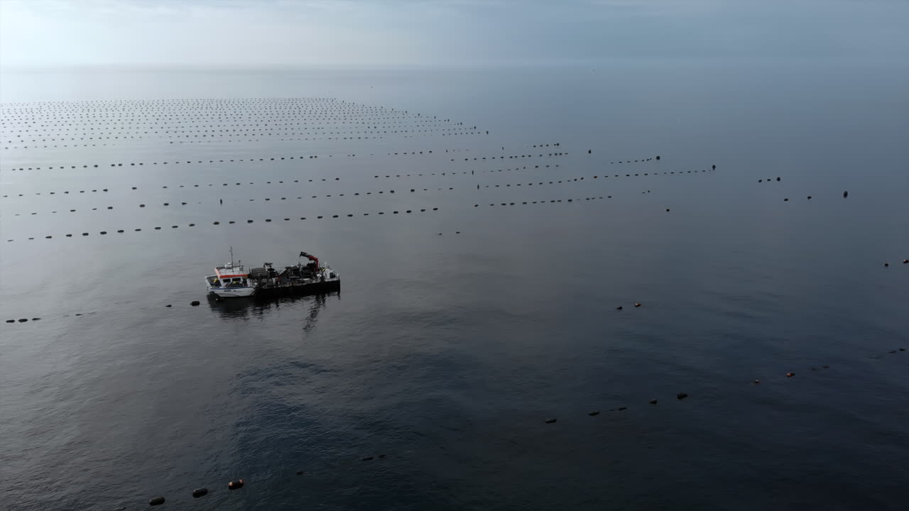 Boat on the sea, aquaculture farm
