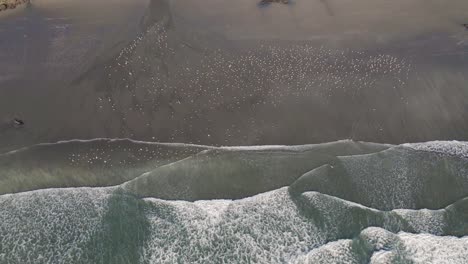 Große-Gruppe-Von-Möwen,-Die-Am-Sandstrand-In-Brookings,-Oregon,-Fliegen.-4K-Drohnenaufnahmen