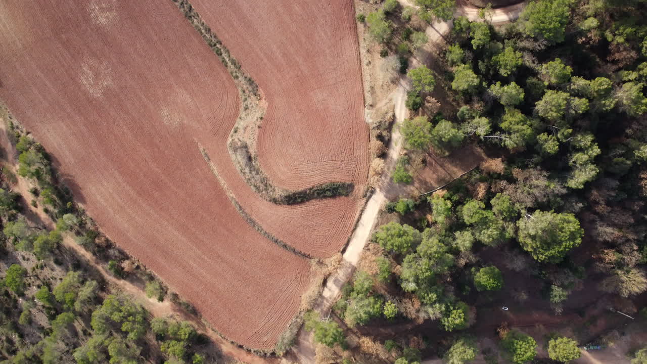 vista aérea de un campo y un bosque