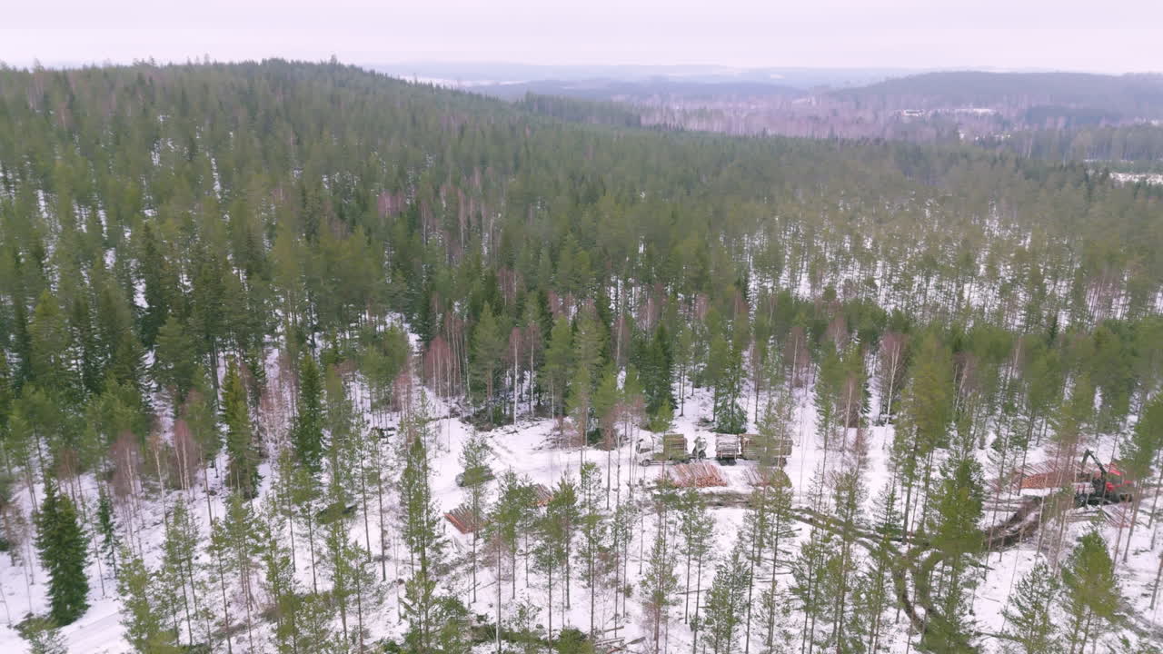 트럭은 스웨덴의 눈 인 숲길을 가로질러 은 목재를 끌고 간다.