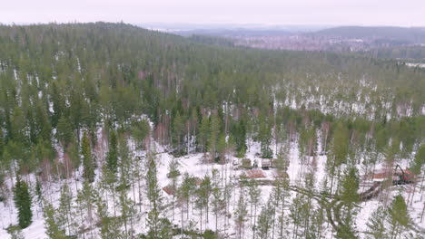 camiones transportan troncos de madera cortada sobre una carretera de bosque nevado en suecia, panorámica aérea