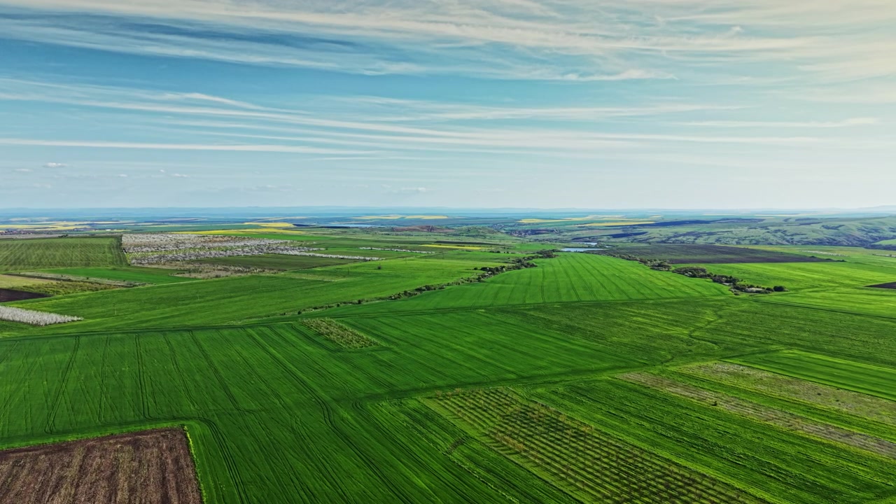 Endless green fields stretch across the landscape under a clear sky with some clouds at midday