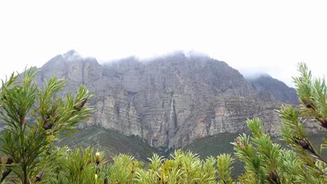 after heavy rains water gushes down a mountain gorge in south africa, timelapse