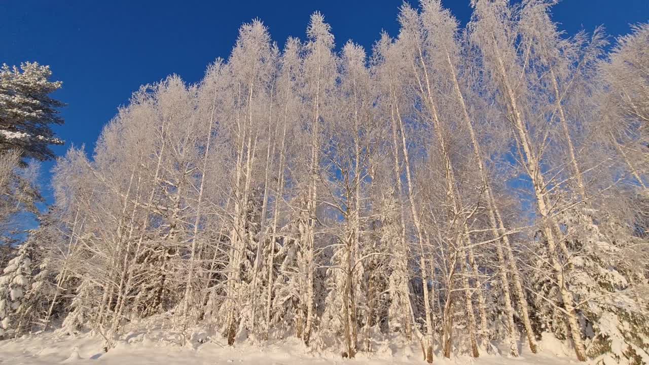눈 덮인 아스팔트 도로