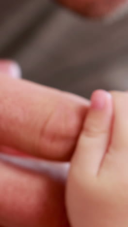 adult hands holding baby hands