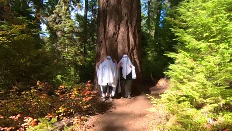 two people dancing in a forest dressed as ghosts next to a massive tree