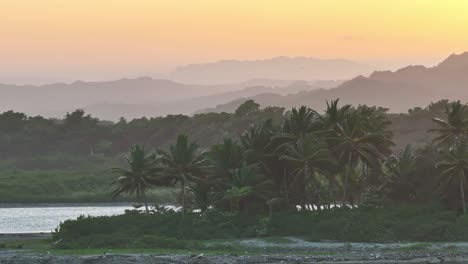 paralaje aéreo alrededor de palmeras tropicales en la península de la playa con rayos brillantes de puesta de sol irridescentes