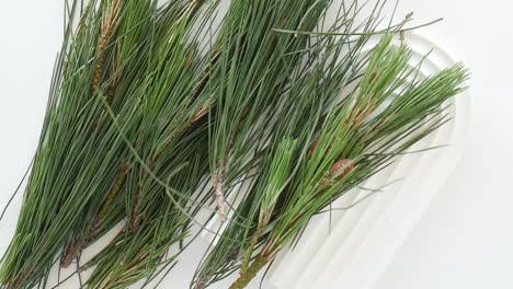 pine branches on a white arch-shaped dish