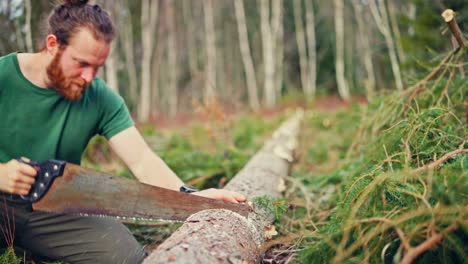 man cutting tree trunk using a saw - close up
