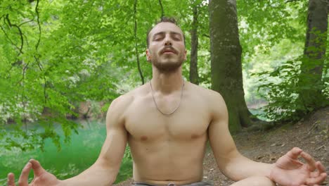 relaxing, resting in the forest.