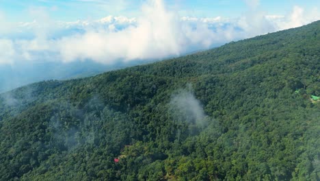 Evergreen-Forest-Deciduous-Forest-Mixed-Deciduous-Evergreen-Forest,-Summer-Tropical-Green-Forest-Landscape-covered-in-Clouds,-Cloud-Flythrough-Revealing-Shot,-Cloud-Fly-Through