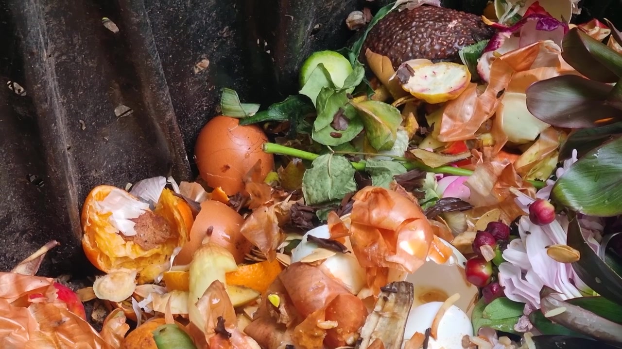 Close-up of vegetable, plant and fruit scraps in a compost collection bin, highlighting food waste being transformed into natural recycling and sustainable composting