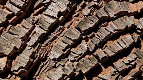 abstract textured pattern of cracked brown and grey surface