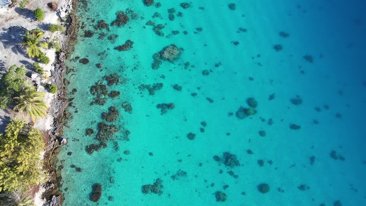 프랑스령 폴리네시아 파카라바 환초의 아름다운 석호의 얕고 맑은 물과 산호초의 공중, 드론 샷