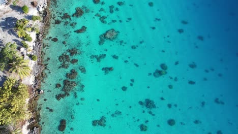 Aerial,-drone-shot-of-the-shallow,-clear-water-and-coral-reef-of-the-beautiful-lagoon-of-the-atoll-of-Fakarava-in-French-Polynesia