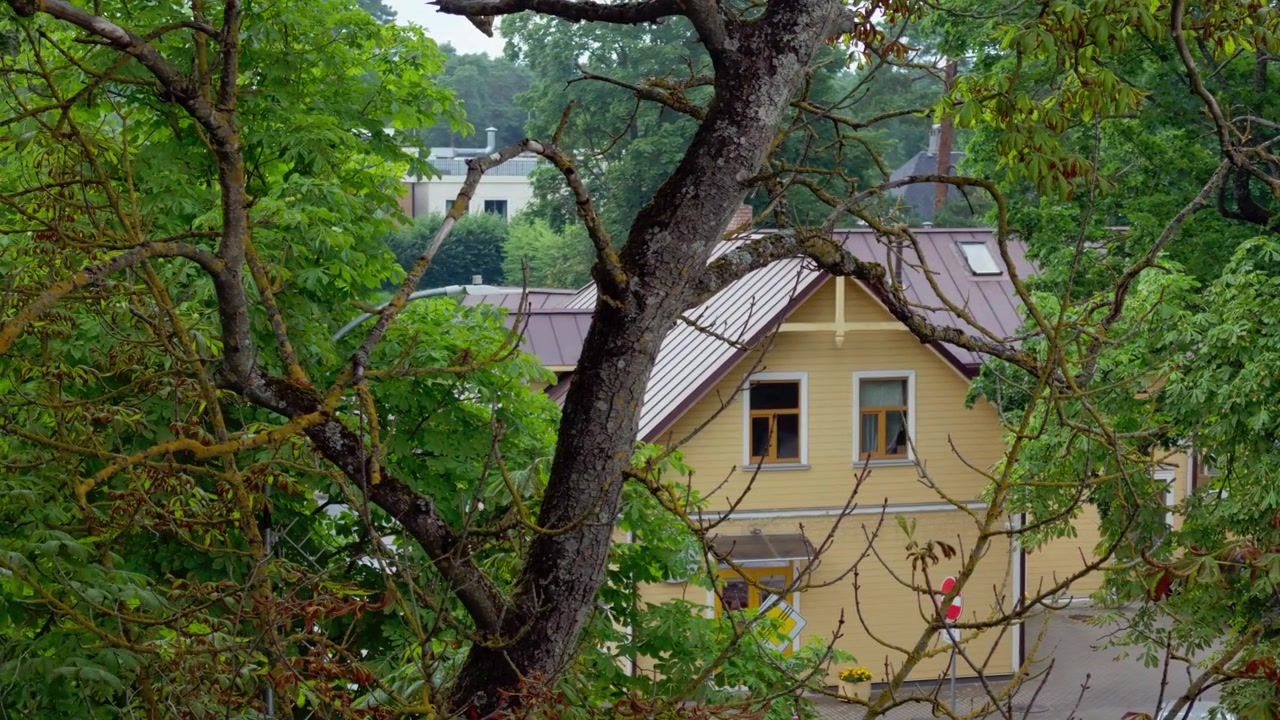 Traditioneel geel houten huisje omringd door weelderige boomtakken in de Baltische badplaats Jurmala, Letland, tijdens een bewolkte zomerdag met een kalme sfeer.
