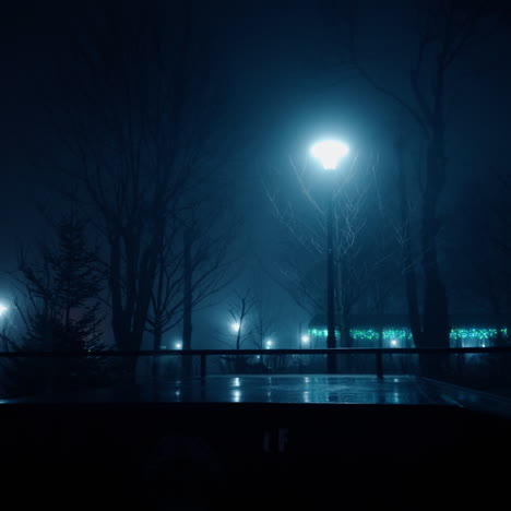 outdoor scenery with trees silhouettes and street lights on at night. silhouette of a little kid walking along.
