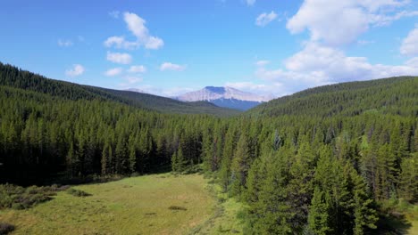 a drone flies above a forested valley revealing an open glade with a small creek meandering as the backdrop of the rocky mountains grows closer