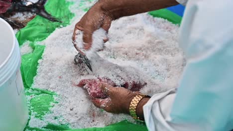 an arab fisherman salts tuna fish to preserve and store it