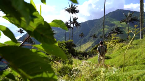 Viajero-Irreconocible-Caminando-En-La-Naturaleza